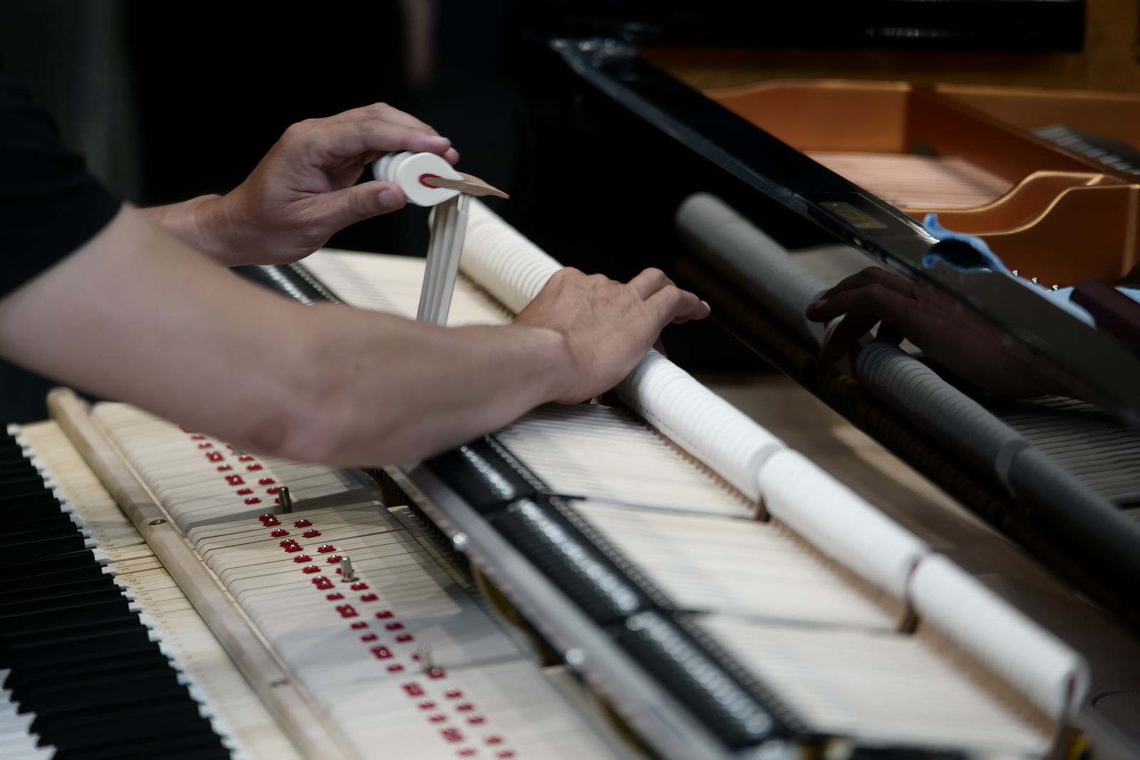Kiểm tra bộ máy đàn Shigeru Kawai SK-3