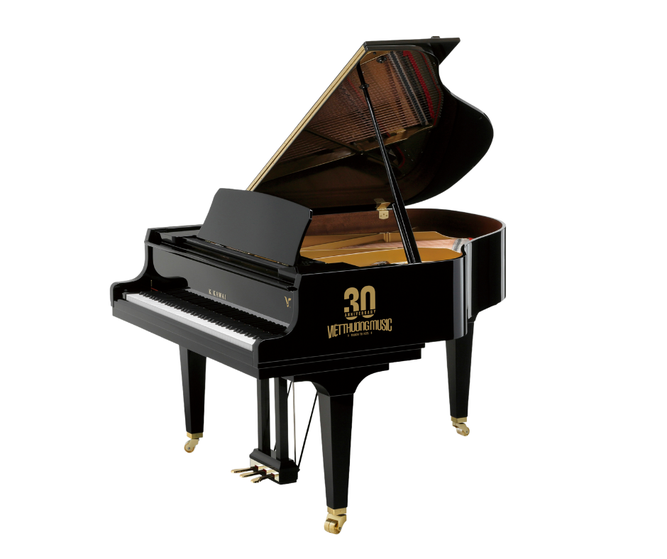 GL-30VTM