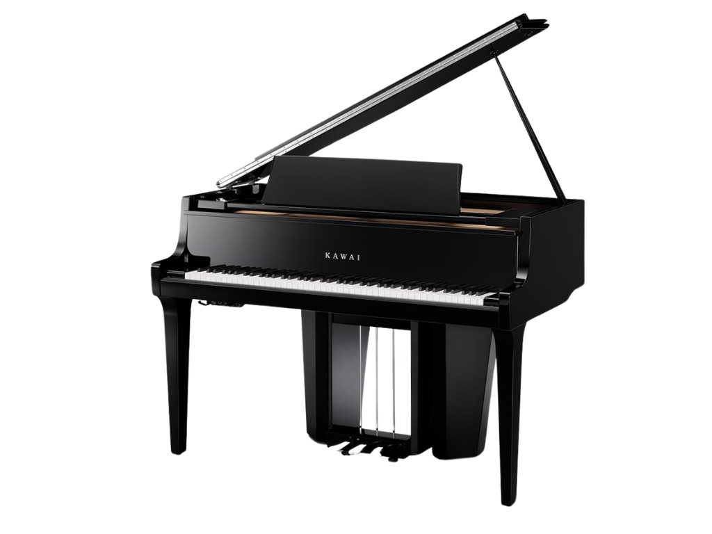 NV12