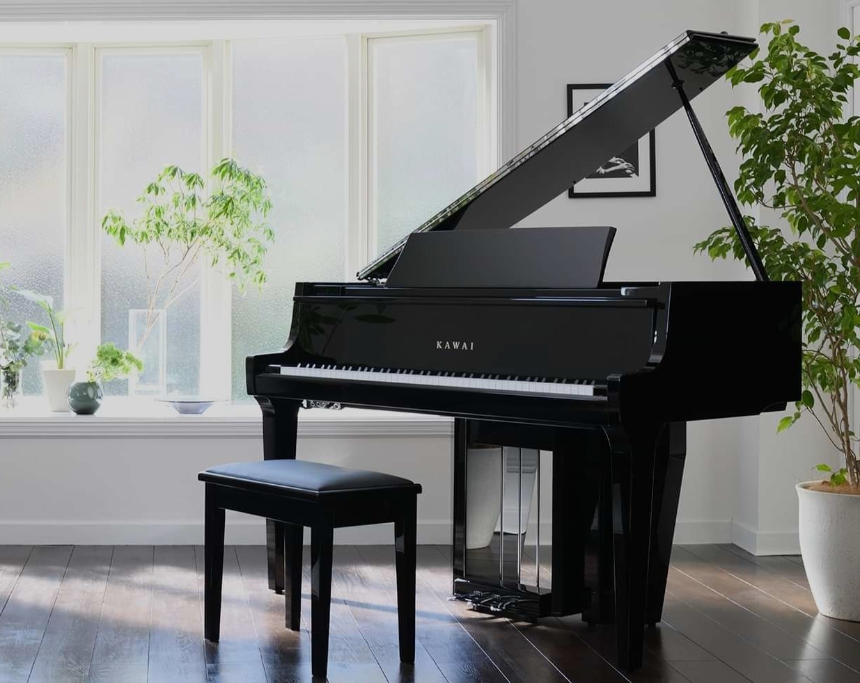Kawai Novus