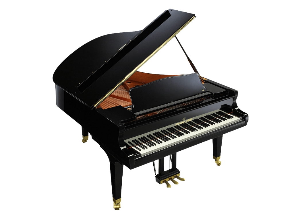 SK-2 Classic Salon Grand
