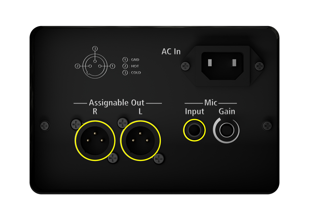 Cổng kết nối chuyên nghiệp XLR và Mic Input