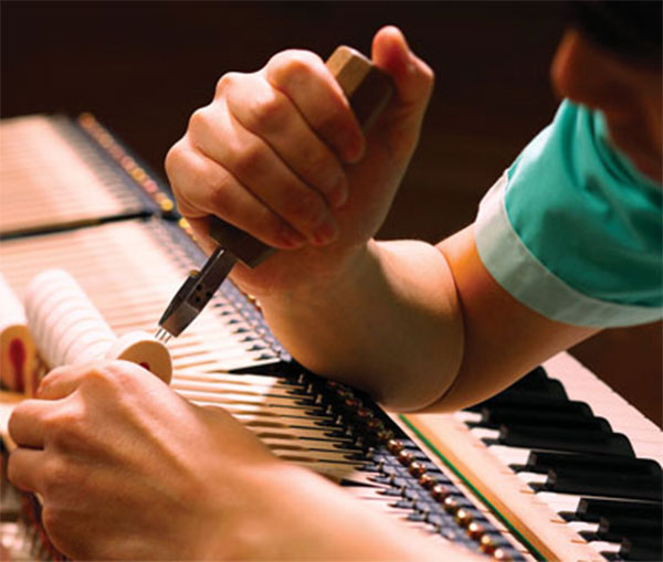 Chuẩn âm – tinh chỉnh búa đàn piano